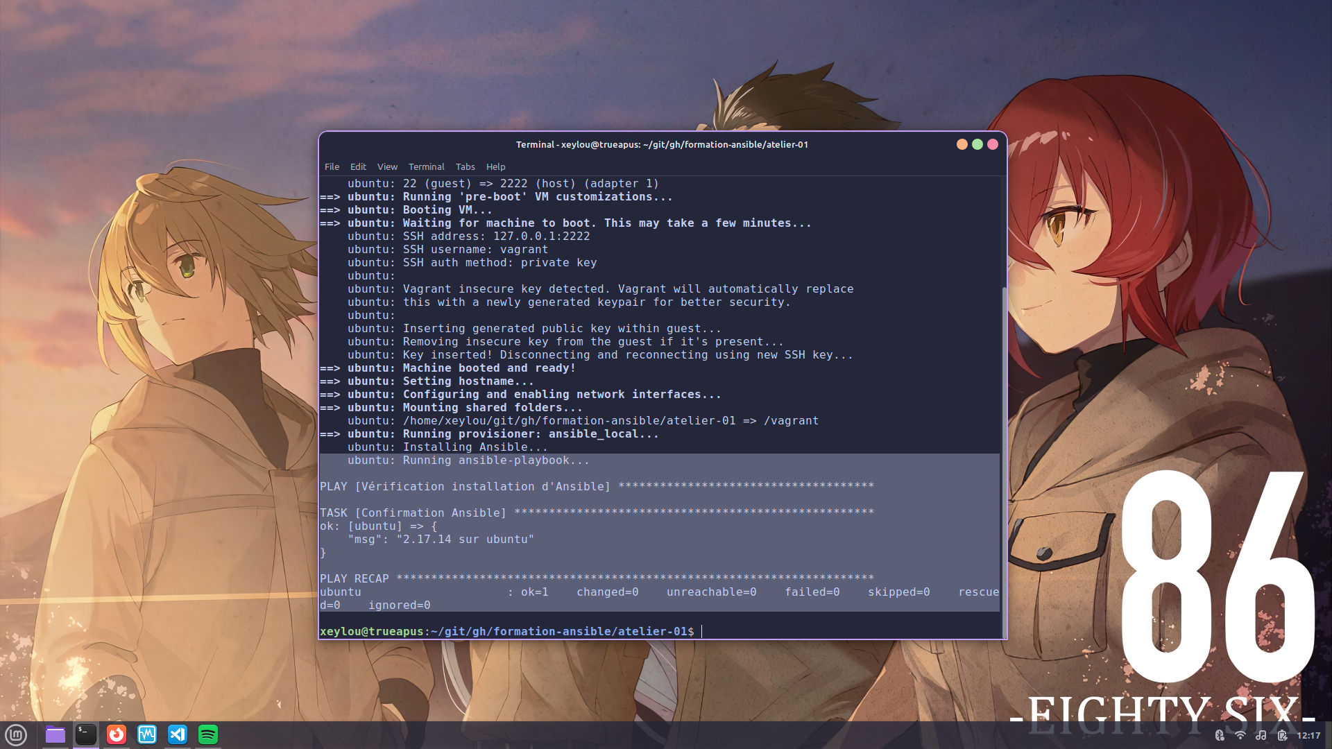 Exécution du playbook setup.yml confirmant l'installation