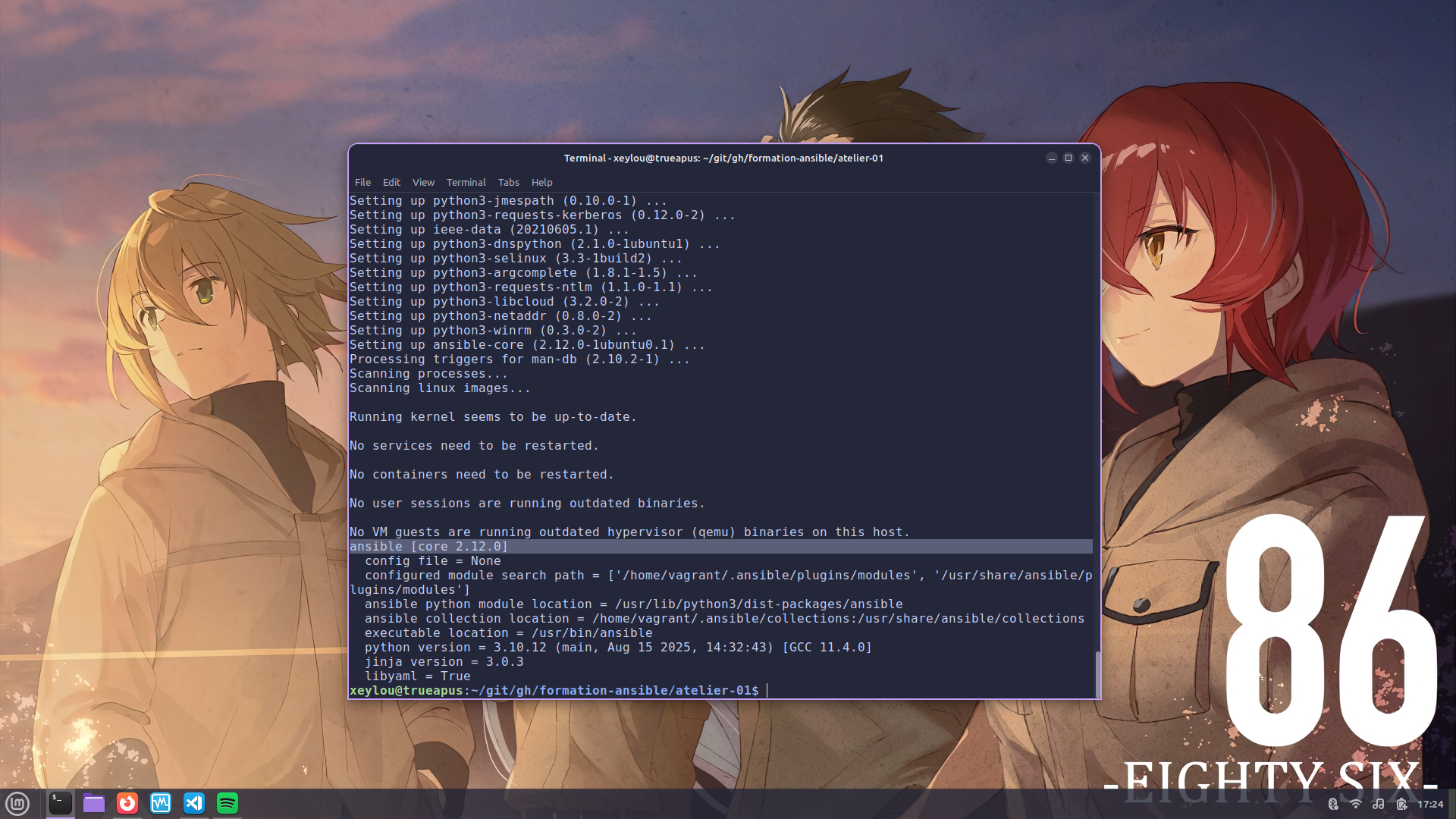 Installation d'ansible-core sans le PPA - version 2.12.0