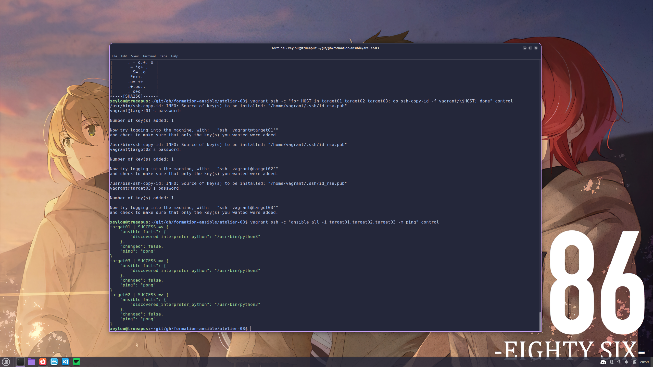 Test de ping ansible réussi sur les trois Target Hosts