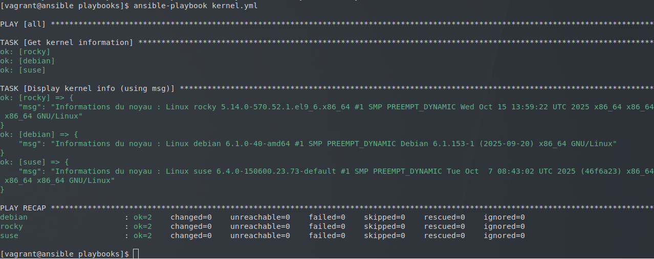 Exécution de kernel.yml avec le paramètre msg