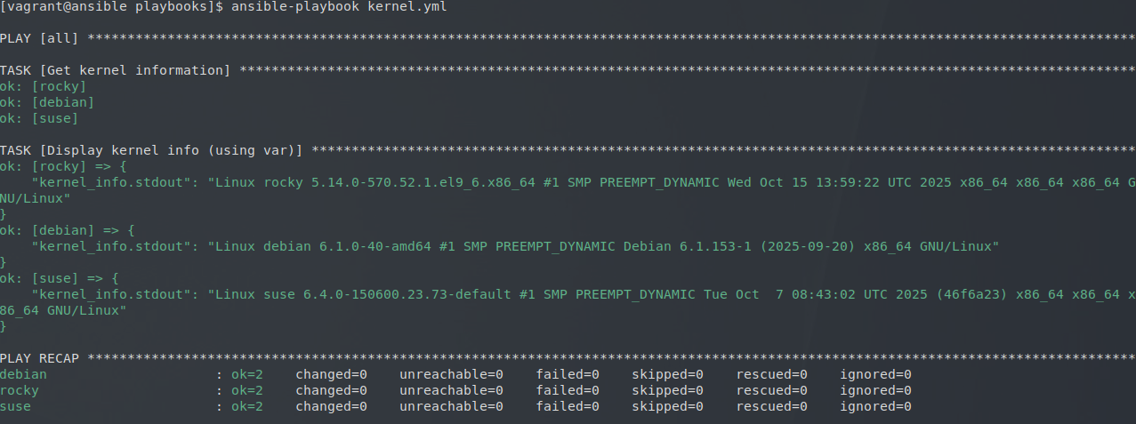 Exécution de kernel.yml avec le paramètre var
